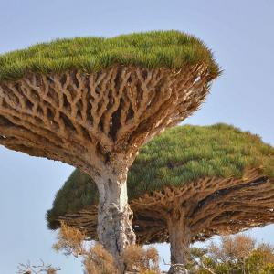 تصویر - 30 مکان هیجان انگیز بر روی زمین که باید دید (بخش اول) - معماری